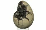Septarian Dragon Egg Geode - Black Crystals #235338-2